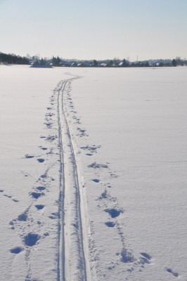 Fotografické služby - 